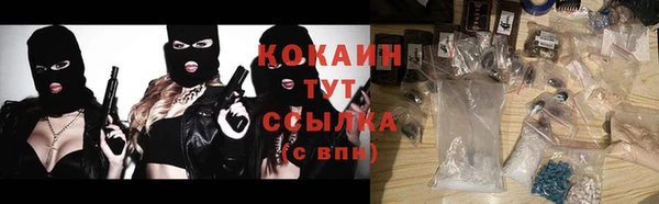 mix Бородино