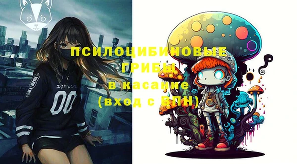 mix Бородино