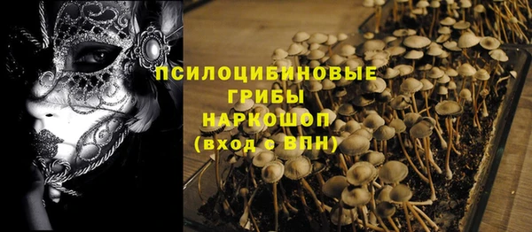 гидропоника Бронницы