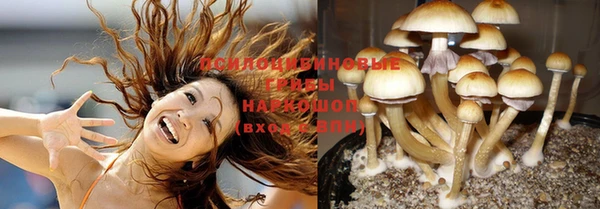 mix Бородино
