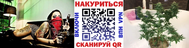 Конопля марихуана Кизляр